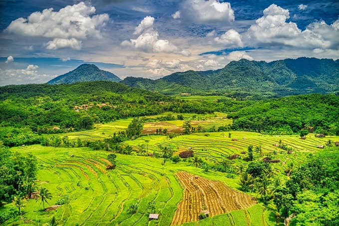 Fotografi Lanskap: Tips dan Trik untuk Menangkap Keindahan Alam yang Memukau