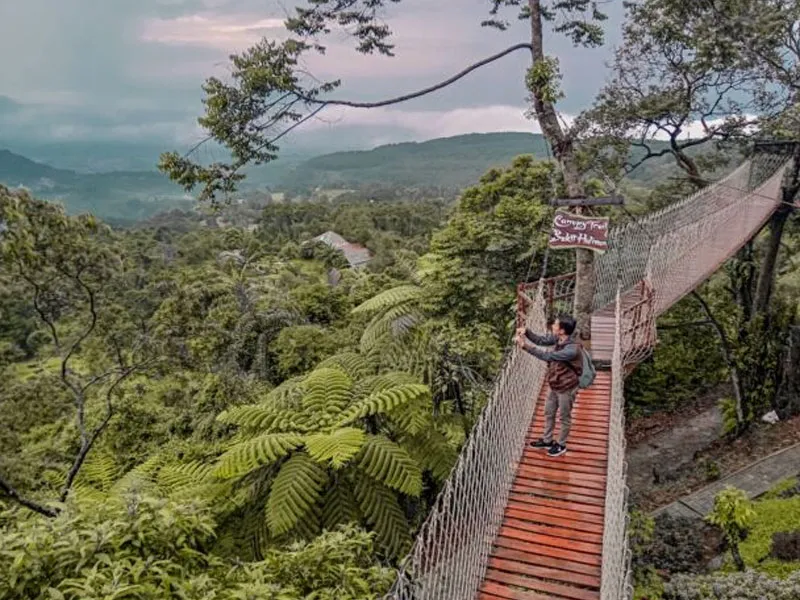 Rekomendasi Tempat Prewedding Paling Instagramable di Bogor 4 Bukit Halimun