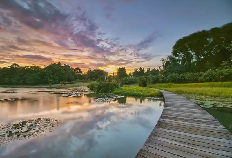 Rekomendasi Tempat Prewedding Paling Instagramable di Bogor 3 Danau Dora