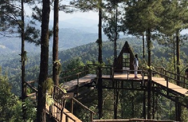 Rekomendasi Tempat Prewedding Paling Instagramable di Bogor 7 Rumah Pohon Pabangbon