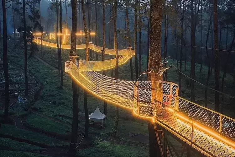 7 Lokasi Outdoor Prewedding Favorit di Bandung 5 Orchid Forest Cikole